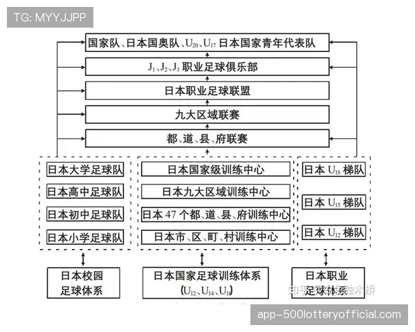 深度报道：日本T联赛的资本运作与青训产出评估